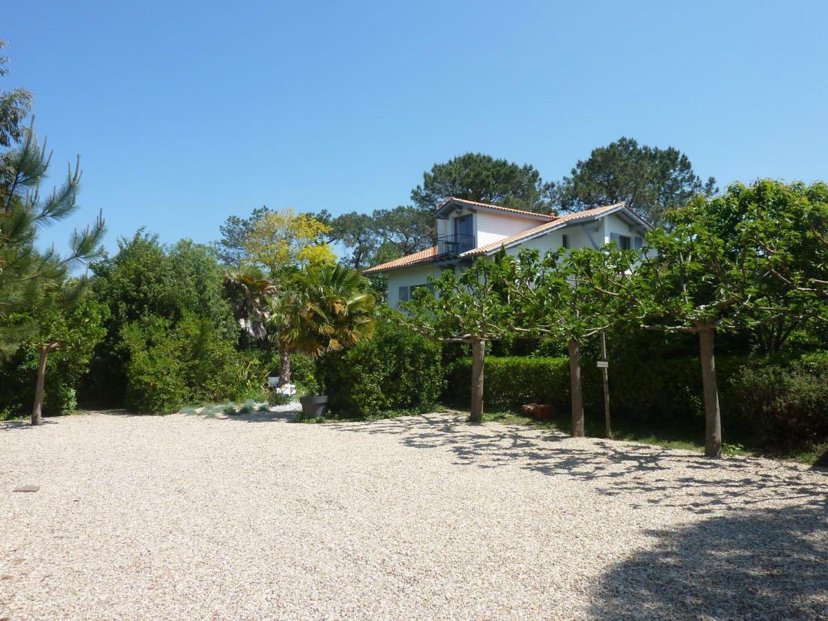 La Cabane D'Arbolateia Piscine & Spa Bidart Buitenkant foto